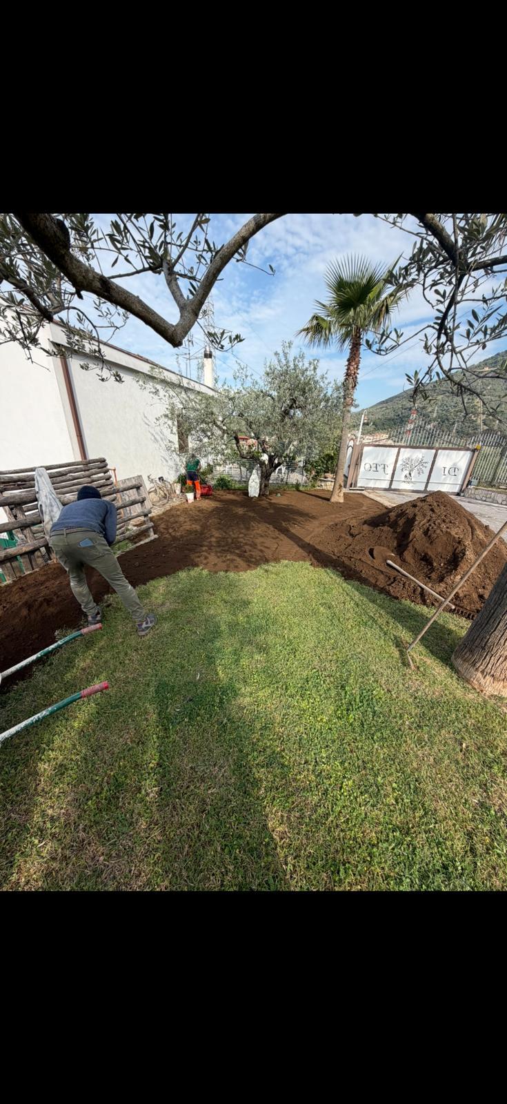 Preparazione terreno per prato pronto