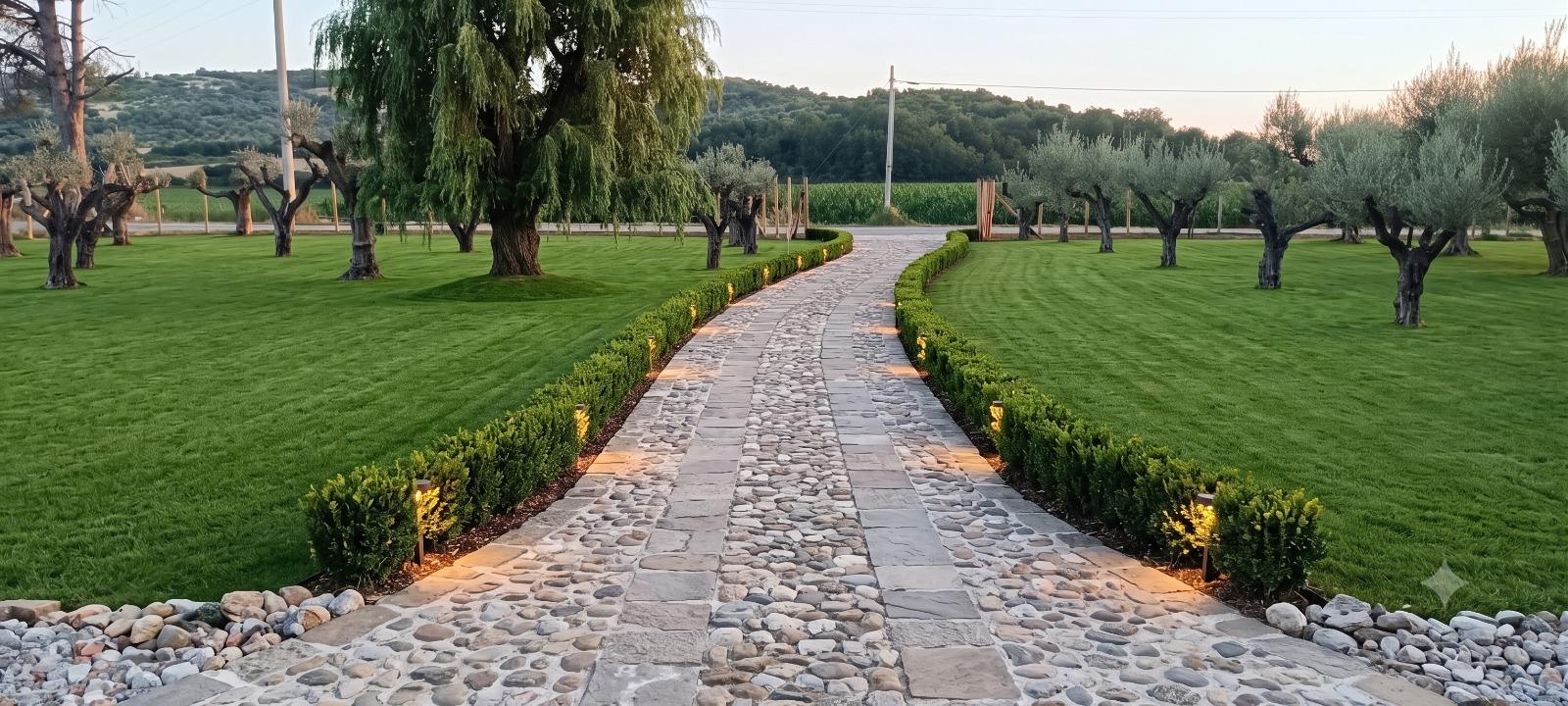 Viale con ulivi e prato verde curato